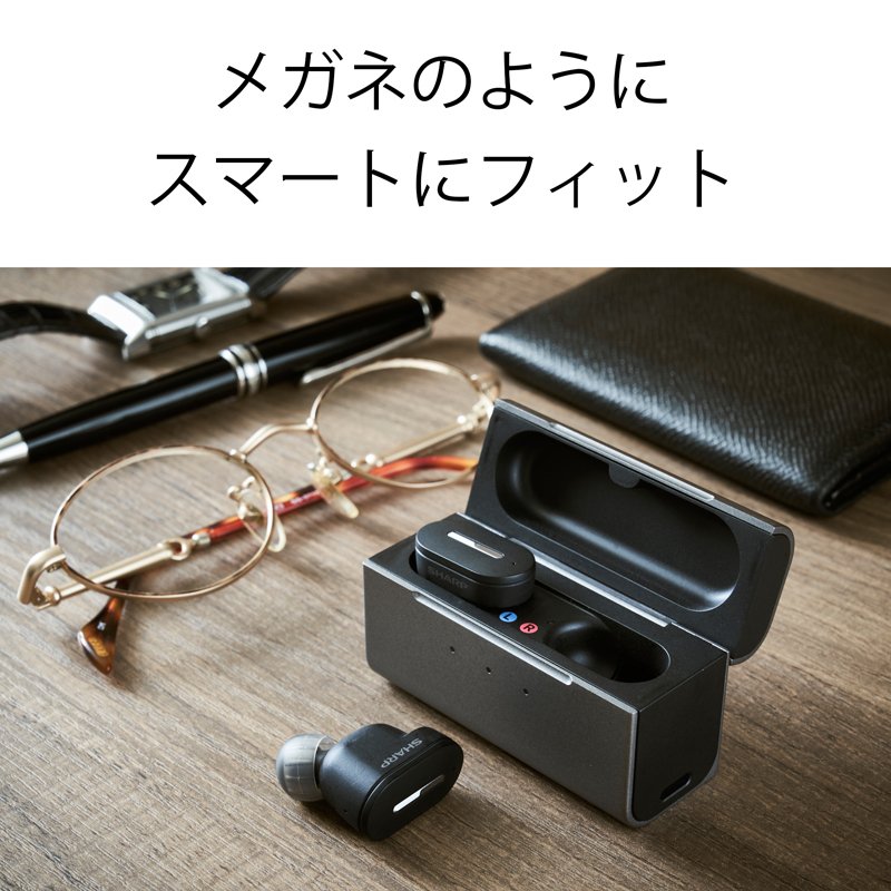メディカルリスニングプラグ 2