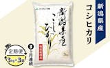 米のふるさと納税定期便のおすすめ人気ランキング【2026年6月】 4