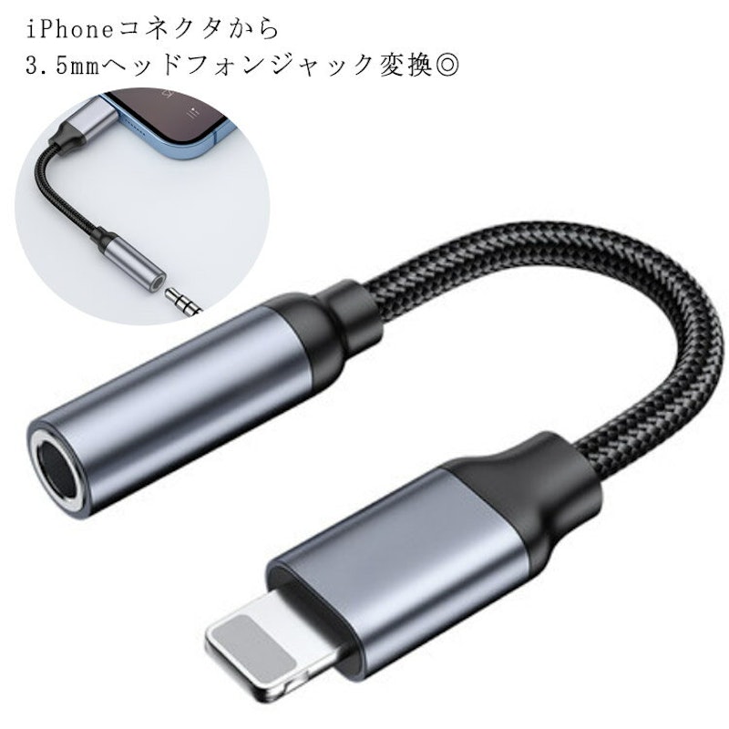 iphone 変換アダプタ 1
