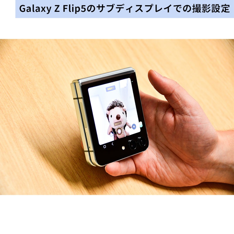 Z Flip5 17