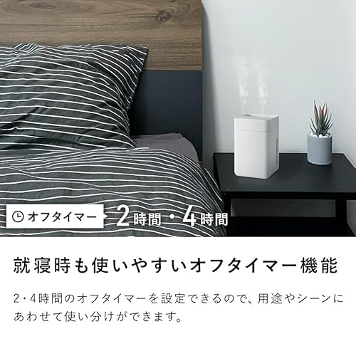 ツインミスト 11