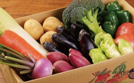 季節のお野菜詰め合わせセット 定期便 春夏秋冬年4回 2