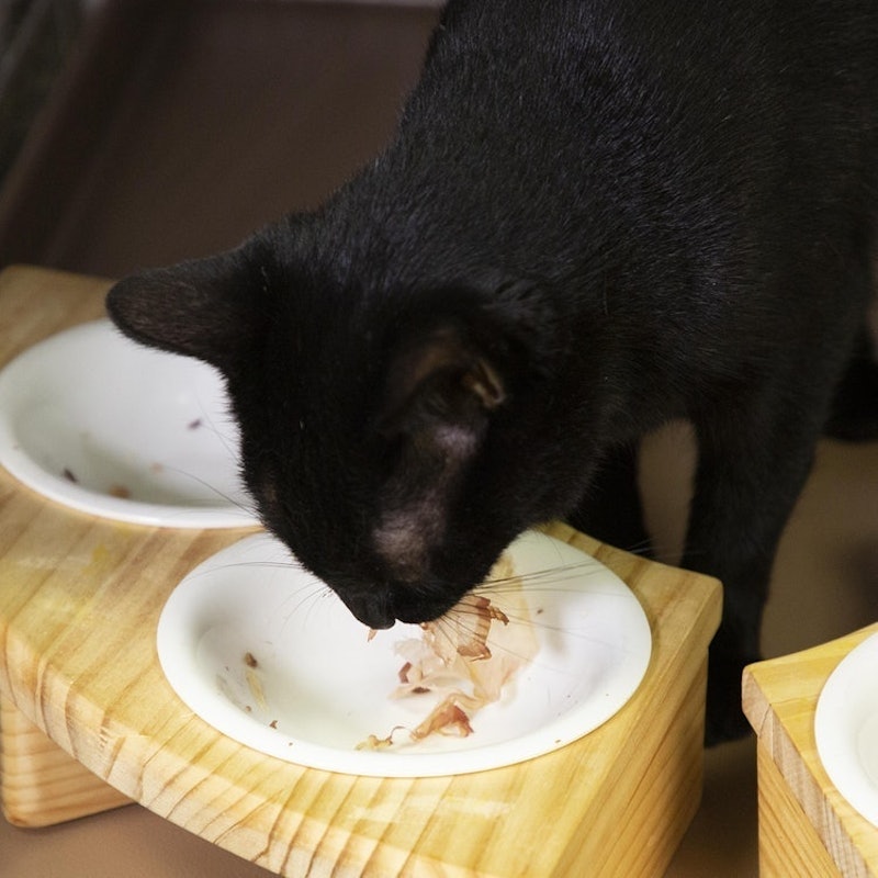 ペットイート 無添加猫ちゃんのかつお削り 5