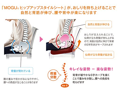 ヒップアップスタイルシート 3