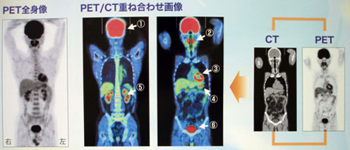 人気 ペット 検査 格安