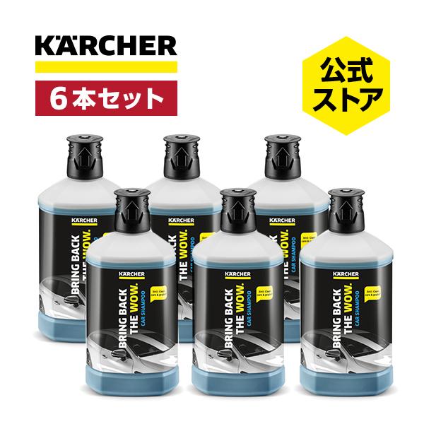 3 IN 1 カーシャンプー 1