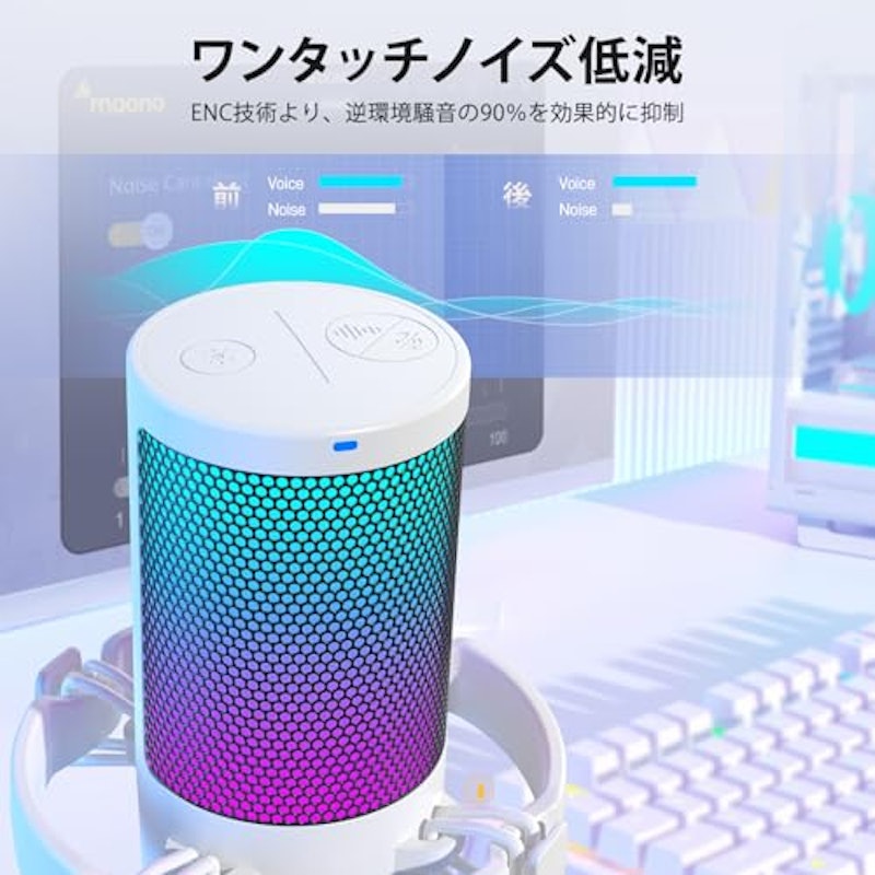 コンデンサーマイク 2