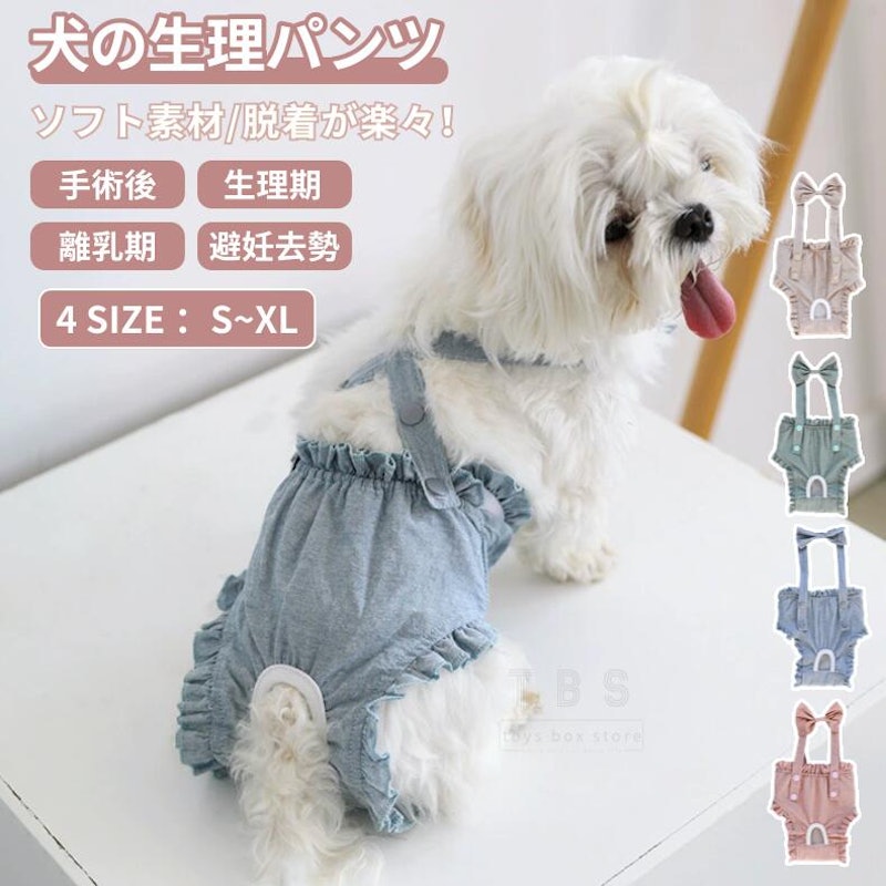 サニタリーパンツ 2