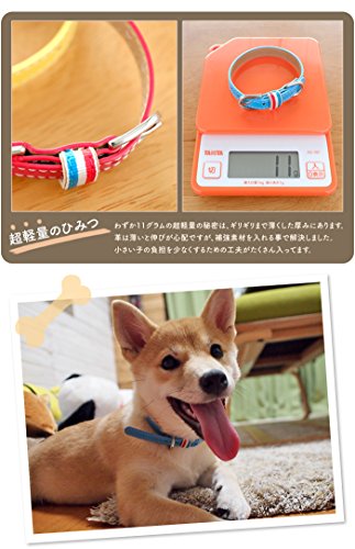超小型犬・小型犬専用首輪 6