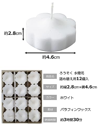 ろうそく 水燈花 2