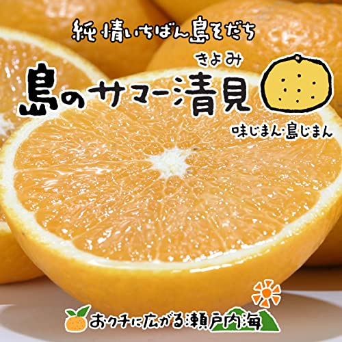 みかん5kgのおすすめ人気ランキング【2026年5月】 5