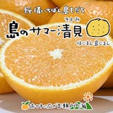 みかん5kgのおすすめ人気ランキング【2026年5月】 5