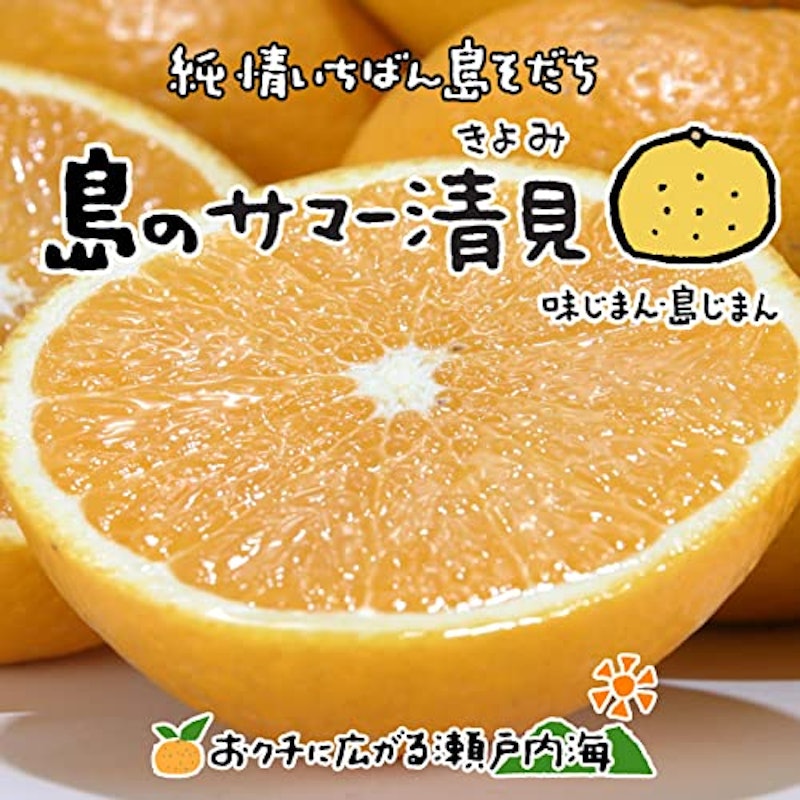 サマー清見 1