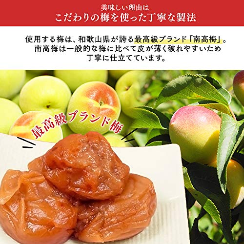 紀州南高梅 はちみつ梅 4