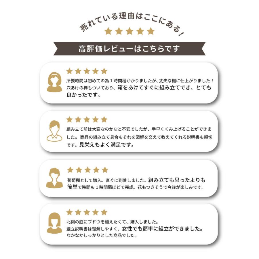 ガーデンアーチ 8