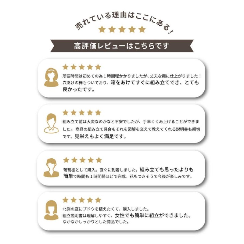 ガーデンアーチ 8