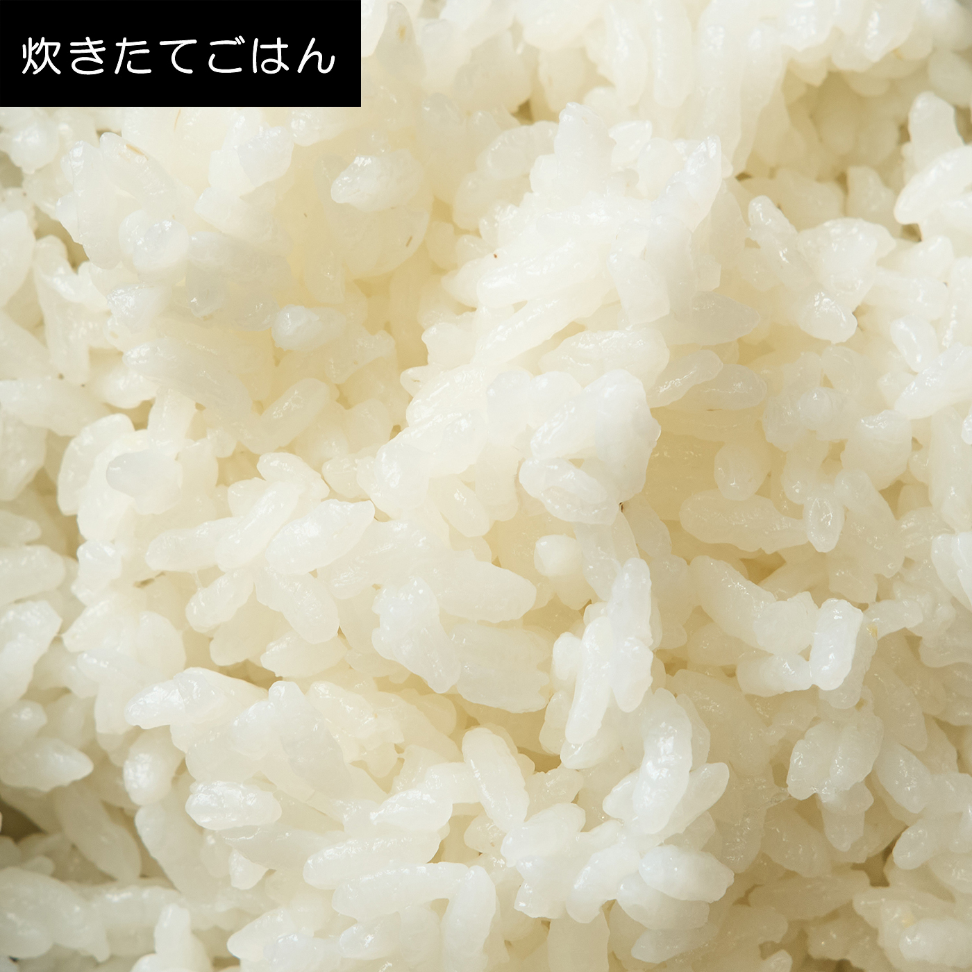 可変圧力IHジャー炊飯器 9