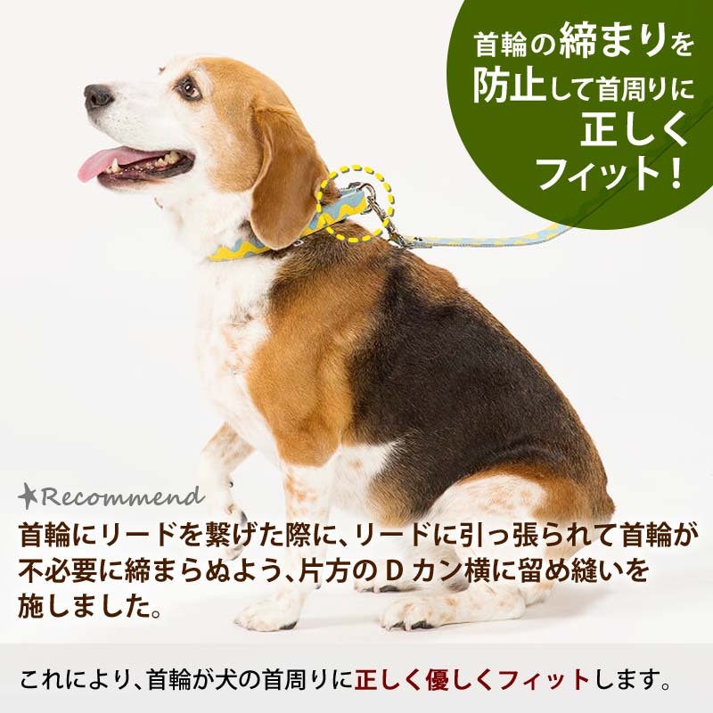 ダブルリング バックル首輪 3