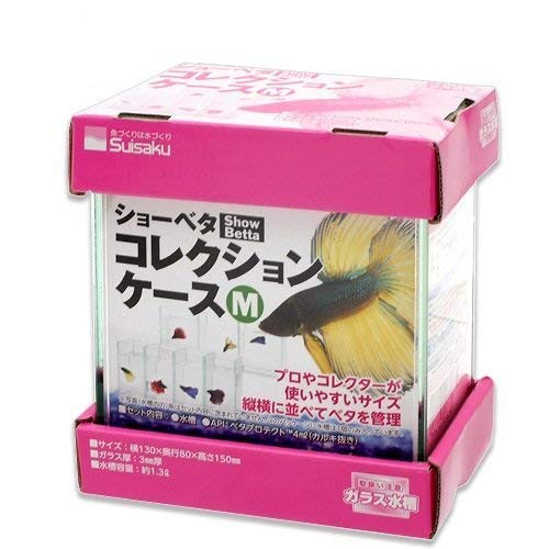 ショーベタ　コレクションケース 1