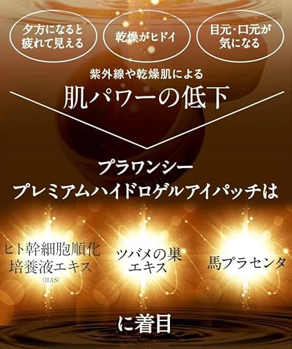 プレミアム ハイドロゲル アイパッチ 3