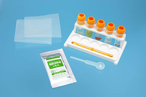 21年 小学生向け夏休み自由研究キットのおすすめ人気ランキング21選 Mybest