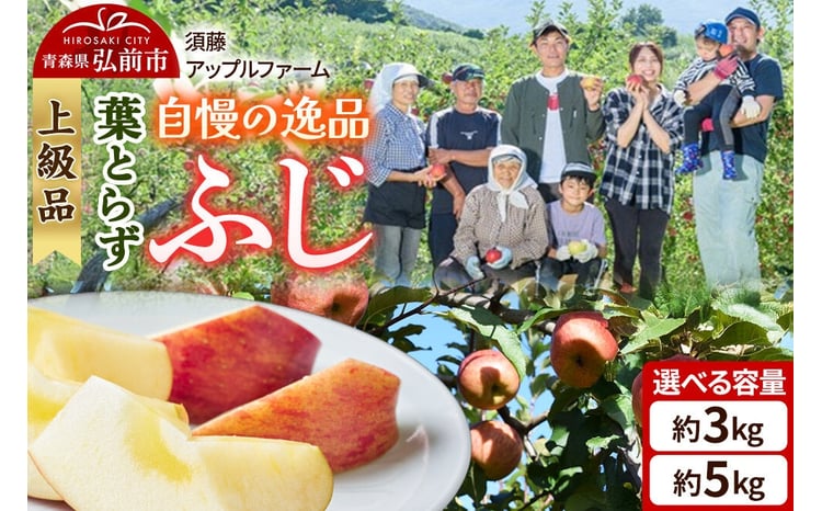 須藤アップルファーム 葉とらずふじ 1