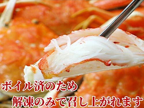 ズワイガニ ボイル 冷凍 4