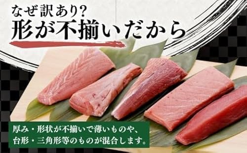キハダマグロ 2