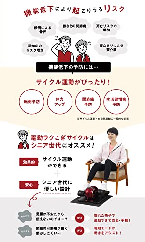 電動ラクこぎサイクル 2