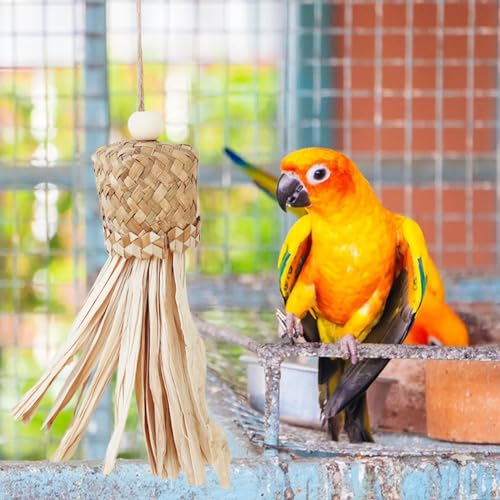 鳥のブランコ噛むおもちゃ 3