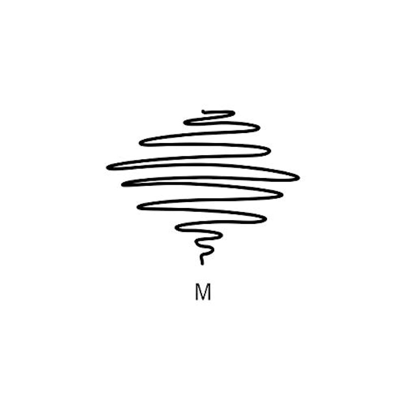 TRX 万年筆 ケース付き 5