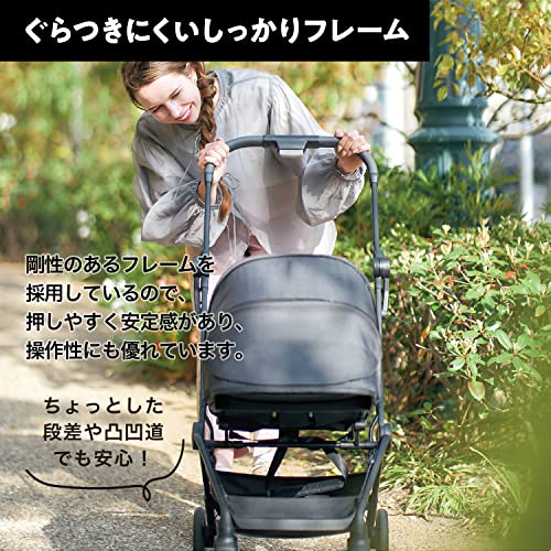 レクサエリート 2