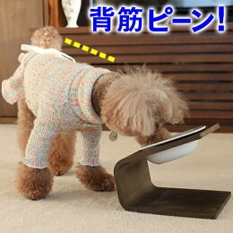 iDog Living Keat キート  3