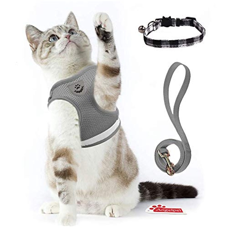 猫用ハーネス 1