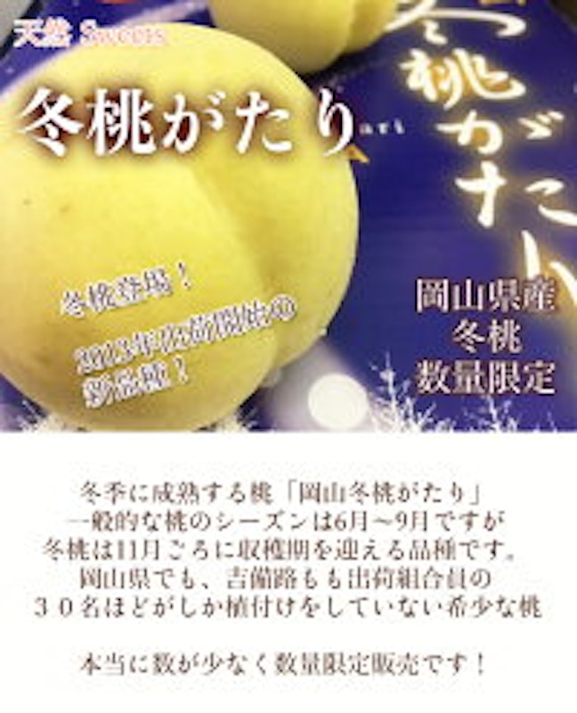 岡山県産 冬桃がたり 訳あり 3