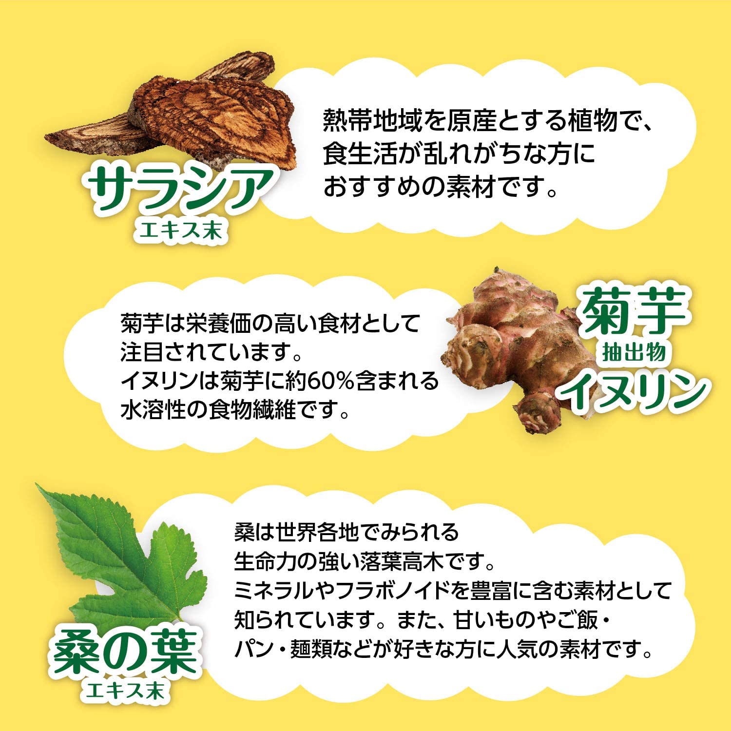菊芋イヌリン桑の葉の入ったサラシア茶 3