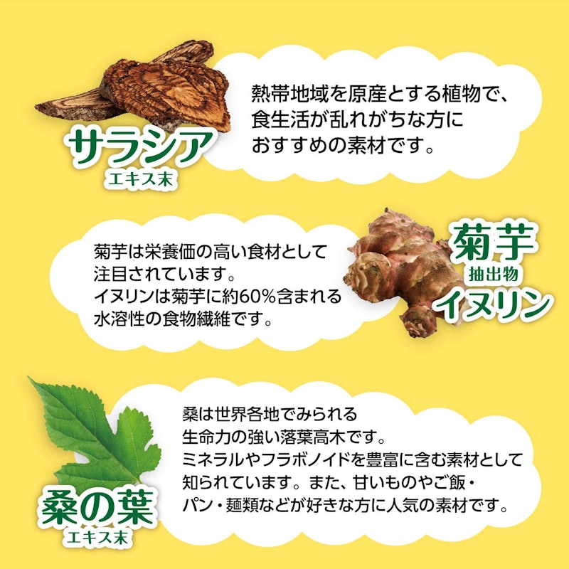 菊芋イヌリン桑の葉の入ったサラシア茶 3