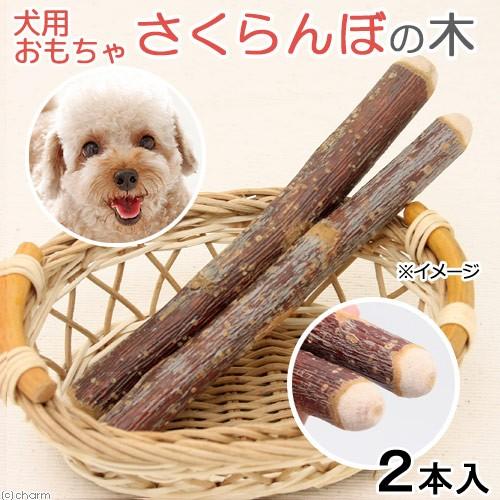 さくらんぼの木 1