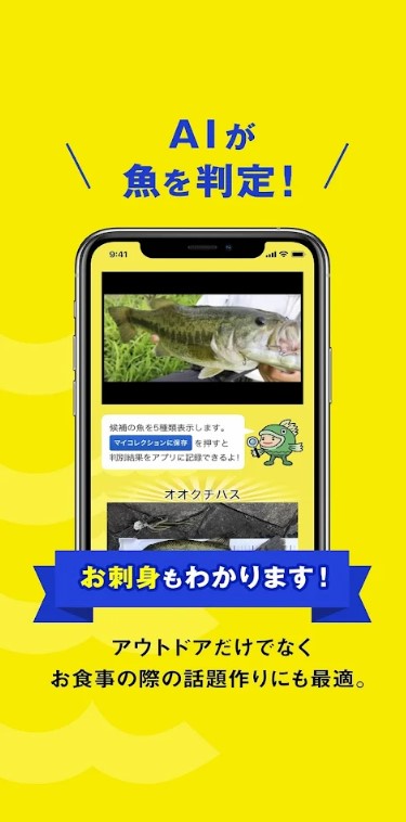 22年 魚図鑑アプリのおすすめ人気ランキング8選 Mybest