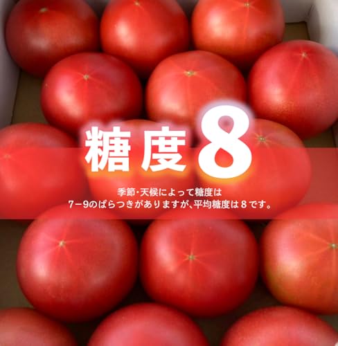 海陽のトマト 中玉トマト 2