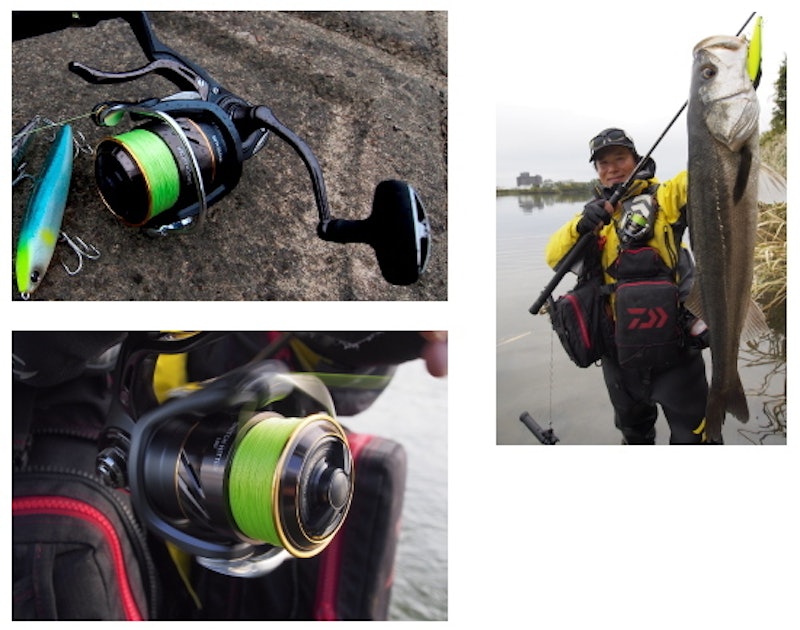 DAIWA スイッチヒッター LBD 2