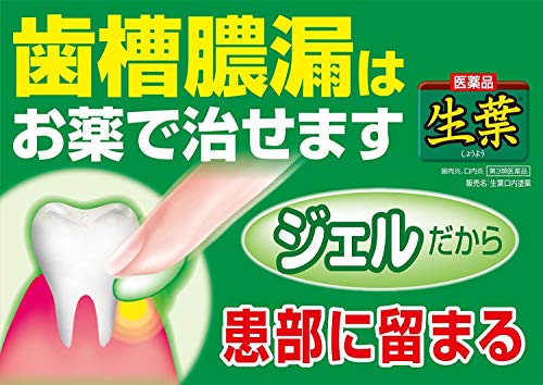 口内塗薬 2