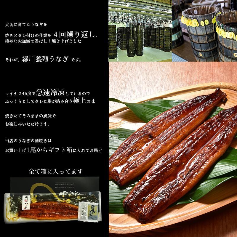 うなぎ蒲焼き 4
