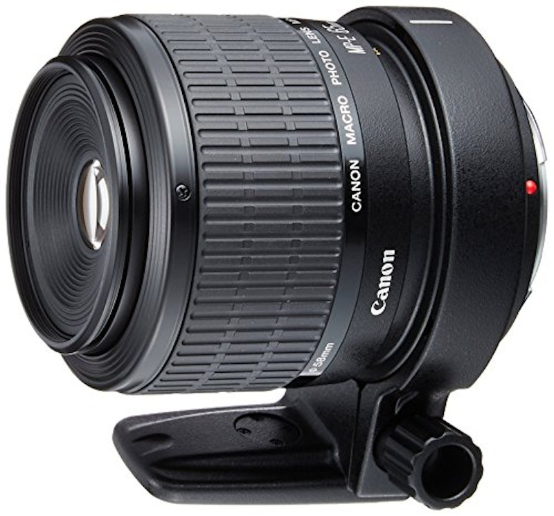 MP-E65mm F2.8 1-5×マクロフォト 1