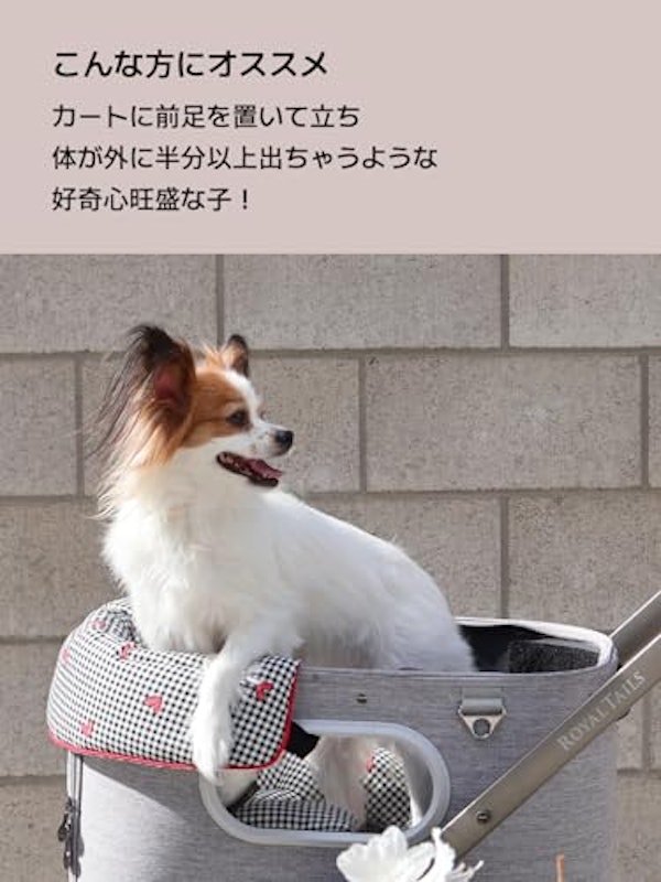 コンフォーター 3