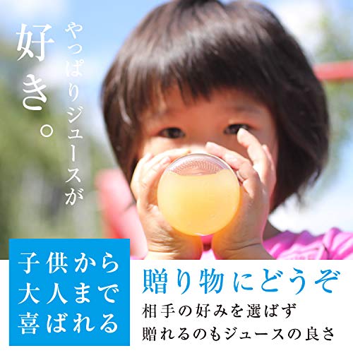 信州産100％果物ジュース500mL 2本セット 4