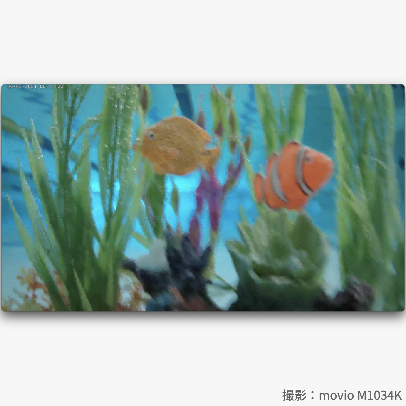 movio アクションカメラ 7