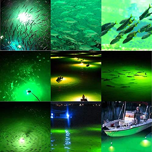 集魚灯 8
