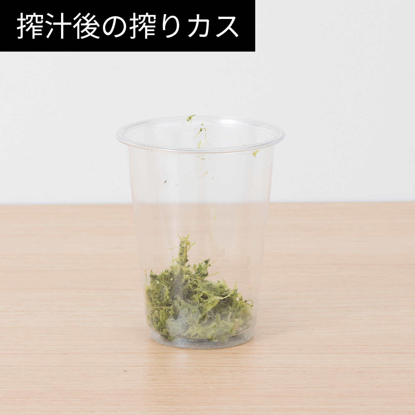 スロージューサー 13