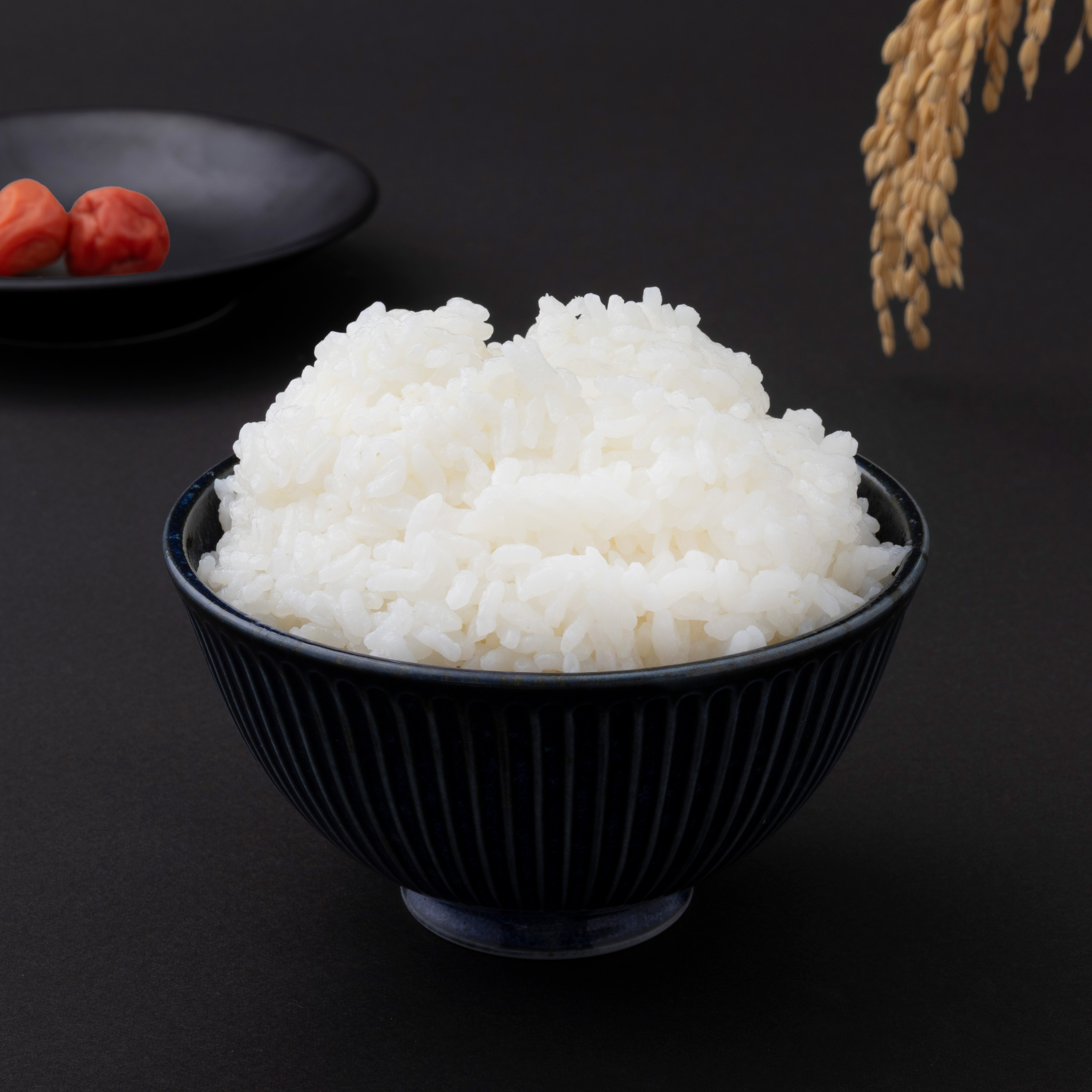 はえぬき 無洗米 3